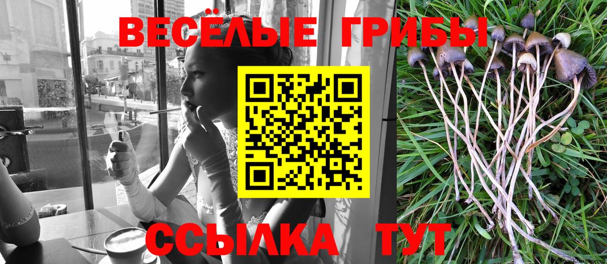 Галлюциногенные грибы Cubensis Кондопога