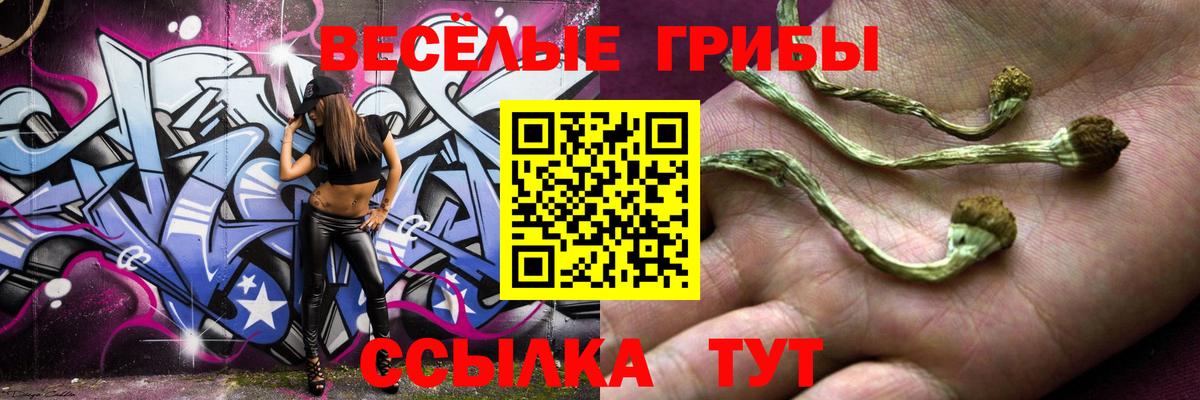 Кондопога  Галлюциногенные грибы мухоморы  Вход с VPN 